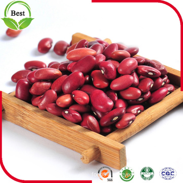 Dried Dark Red Kidney Beans